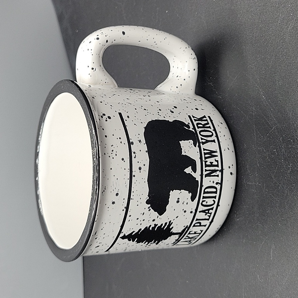Liquid logic mug lake placid new york